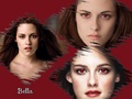 Bella Swan  - twilight-series fan art