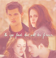 Breaking Dawn part 2...the epic finale that will live forever - twilight-series photo