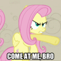 Come At Me, Bro - my-little-pony-friendship-is-magic photo