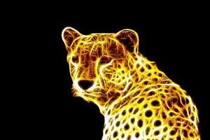  Cool Cheetah 9