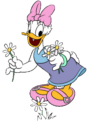  madeliefje, daisy eend Clipart