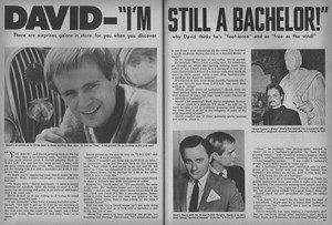  David - I'm Still a Bachelor (article)