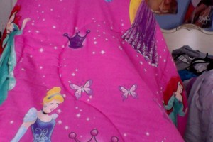  디즈니 princess Blanket