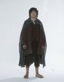 Frodo LOTR TT - lord-of-the-rings photo