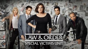  Law and Order: SVU
