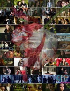  New Moon collage