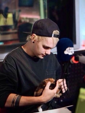  Now I know, Mikey loves chatons