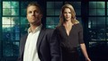 oliver-and-felicity - Oliver and Felicity wallpaper