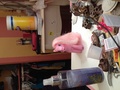 Pinkie pie  - my-little-pony-friendship-is-magic photo