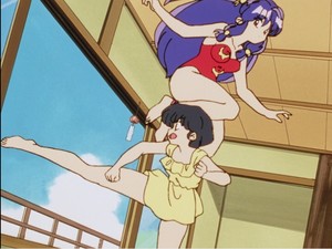  Ranma ½_らんま½ (란마 ½ ) Akane and Shampoo
