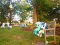 Sitting Lyra - my-little-pony-friendship-is-magic photo