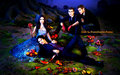 the-vampire-diaries-tv-show - TVD Wallpaper ღ wallpaper