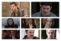 The guys of Twilight  - twilight-series fan art