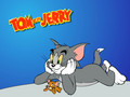 Tom and Jerry :) - tom-and-jerry wallpaper