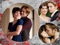 Twilight Couples - twilight-couples fan art