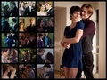 Twilight Couples  - twilight-series fan art