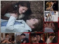 Twilight Couples - twilight-series fan art