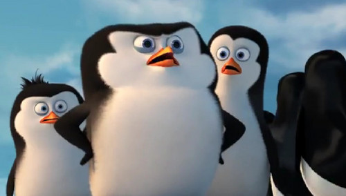 Who's with me? :D - penguins-of-madagascar Photo