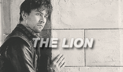  the lion and the কুইন ♥