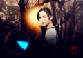                Catching Fire - the-hunger-games photo