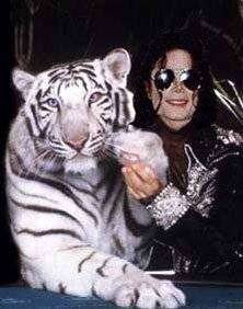  ♥ MJ and a white tiger ♥