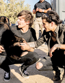               Steal My Girl - louis-tomlinson photo