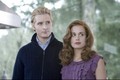                 Twilight Couples - twilight-series photo