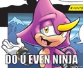 Do U Even Ninja? - sonic-the-hedgehog photo