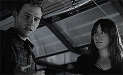  Fitz and Skye ☆