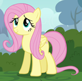 Fluttershy Screenshot - my-little-pony-friendship-is-magic photo