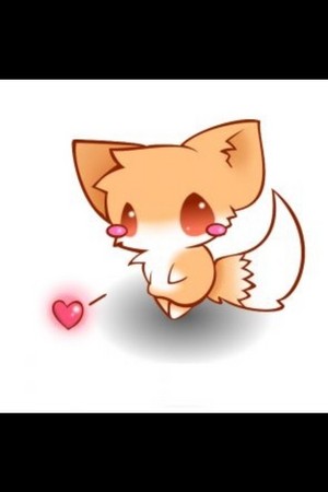  fox that wants some Cinta