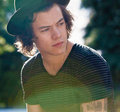 Harry || FOUR  - one-direction photo