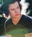 Harry "Perfect" Styles♥                 - harry-styles photo