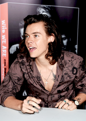  Harry: Who We Are' autobiography book signing in Park Royal Studios, 伦敦