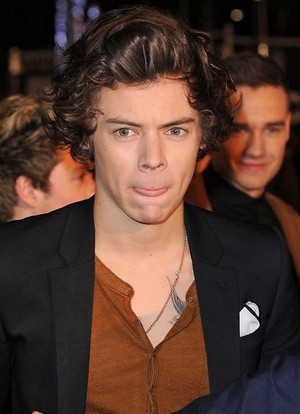  Harry at the NRJ Awards