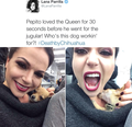 Lana's Tweet  - once-upon-a-time photo