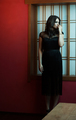 Lauren Cohan Photoshoots 2014 - lauren-cohan photo