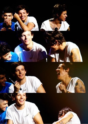 Louis and Harry TMHT 