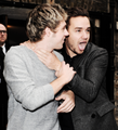 Niall and Liam - one-direction photo