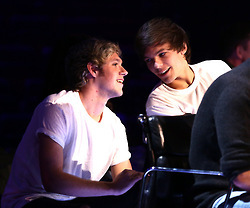  Niall and Louis at X Factor 2014