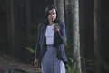 Queen Regina (HQ) - once-upon-a-time photo
