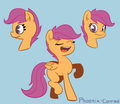 Random Ponies - my-little-pony-friendship-is-magic fan art