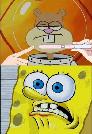 Sandy and Spongebob Pregnancy Test Meme