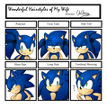 Sonic Hairstyles Meme - sonic-the-hedgehog photo