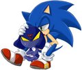 Sonic and Garuru - sonic-the-hedgehog photo