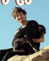 Steal My Girl - louis-tomlinson photo