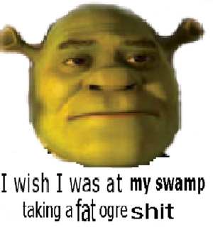  This is my swamp