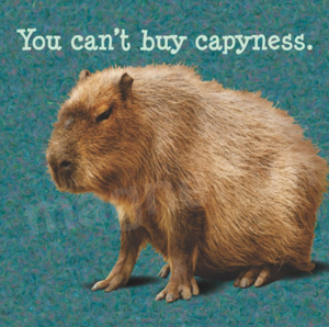 You can't buy capyness.