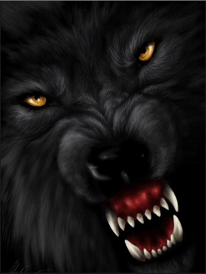  dark 狼