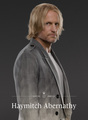                Haymitch - the-hunger-games photo